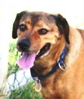 Adopt a friend: Hope